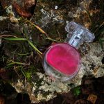 VÉNUS Eau de parfum