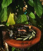 NYX Bougie – Image 3