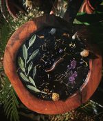 NYX Bougie – Image 2