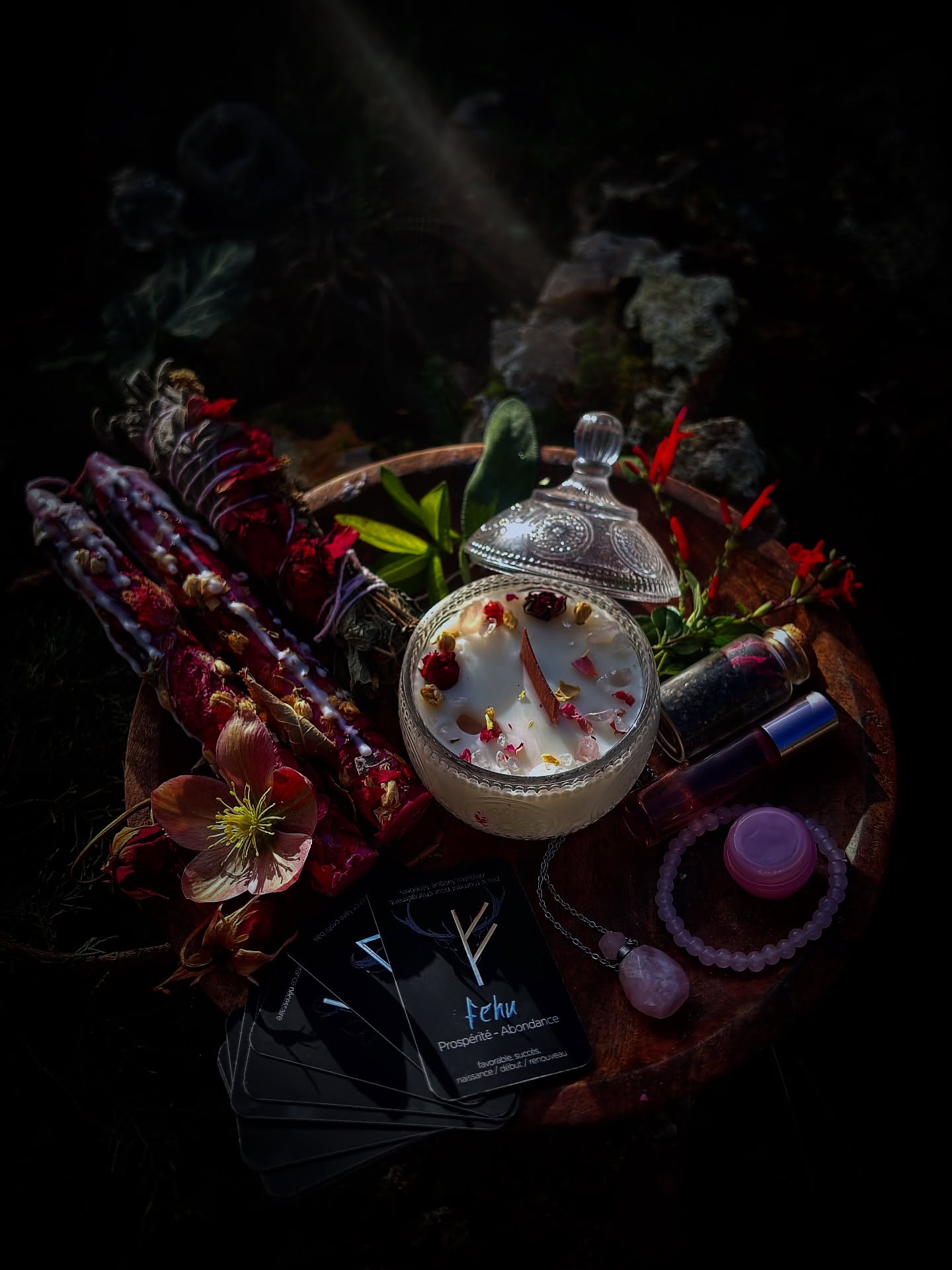 GARDIENNES DES MONDES Coffret