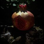 MABON Grenade des moissons